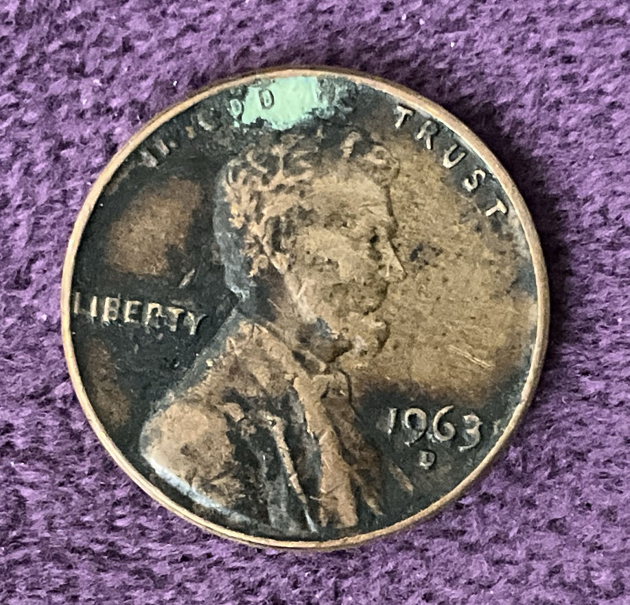 Bombay Hook Delaware National Park Quarter