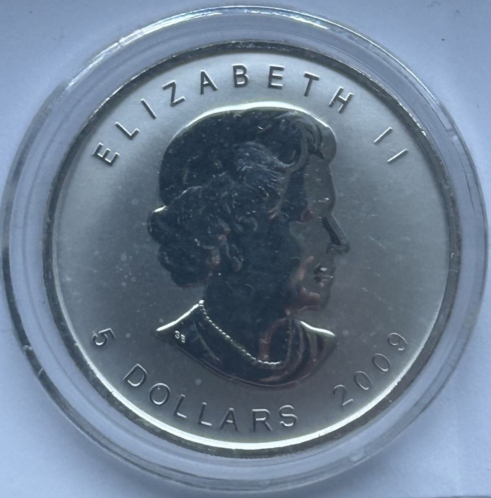 2009 Canadian Maple -  Brandenburg Gate Privy  coin collectible - Main Image 2