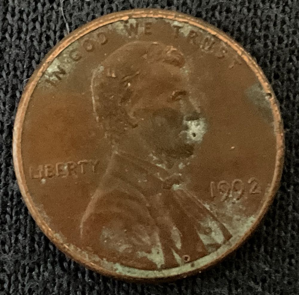Penny 2014 Lincoln D