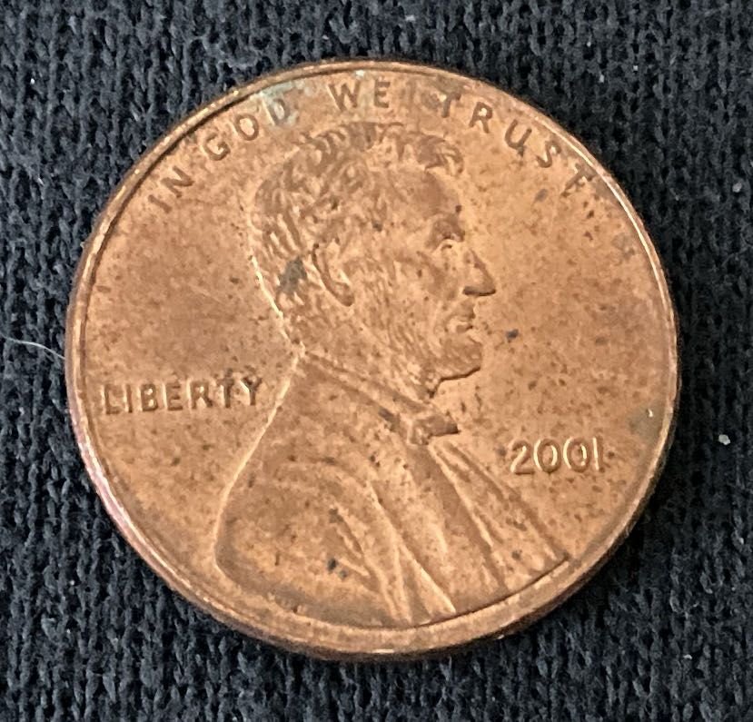 Penny 2018 Lincoln D
