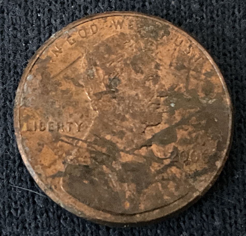 Sacagawea Dollar 2000 P