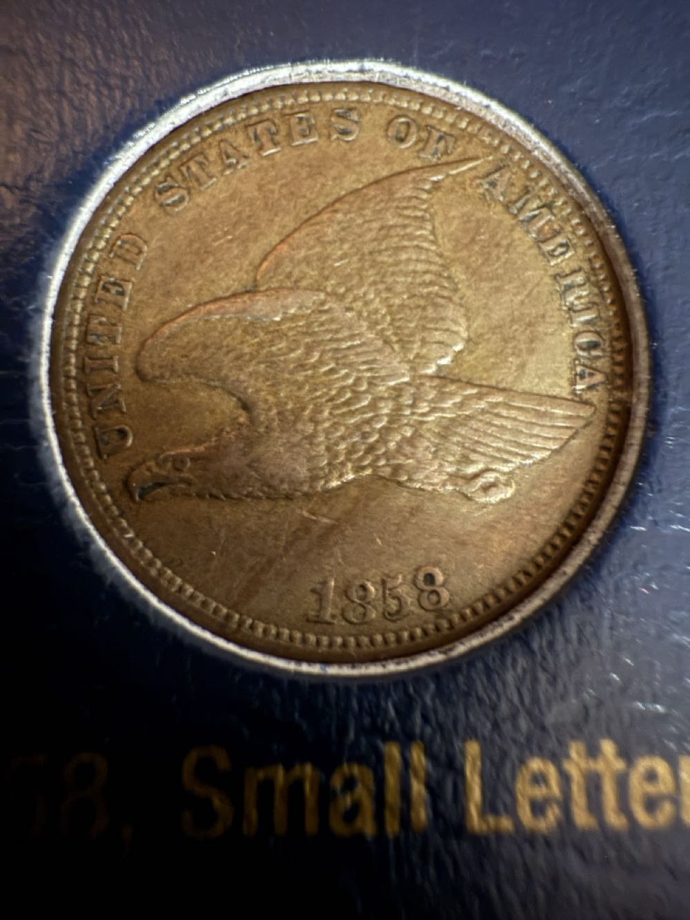 2016 Canadian Maple - ANA California Poppy Privy