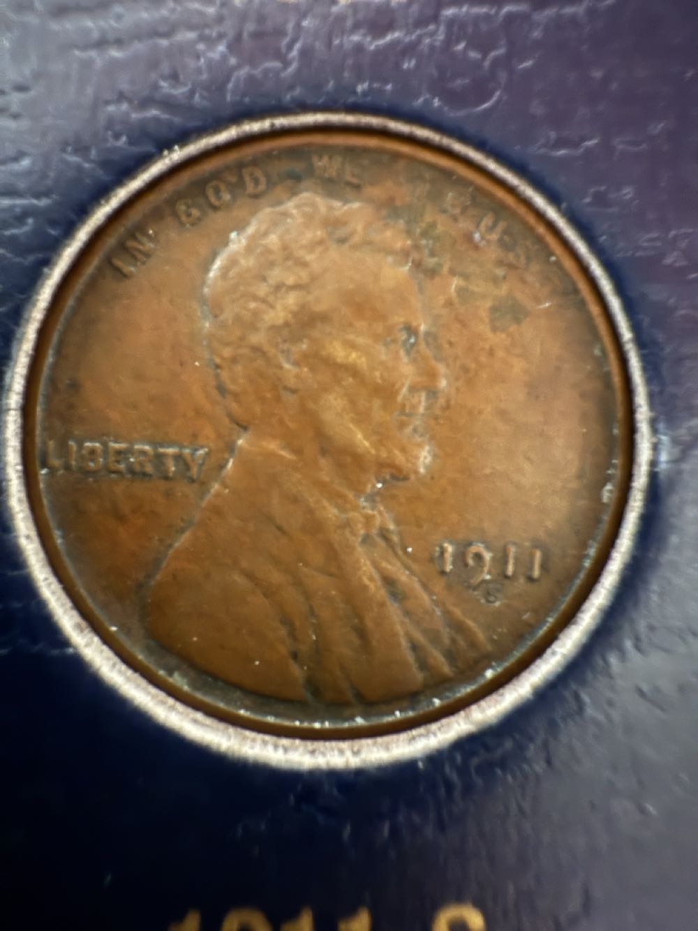 Penny 2014 Lincoln D