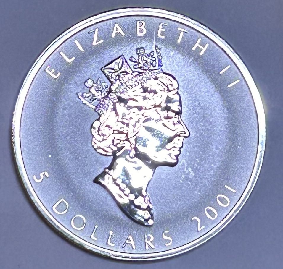 2001 Canadian Maple - Snake Privy  coin collectible - Main Image 2