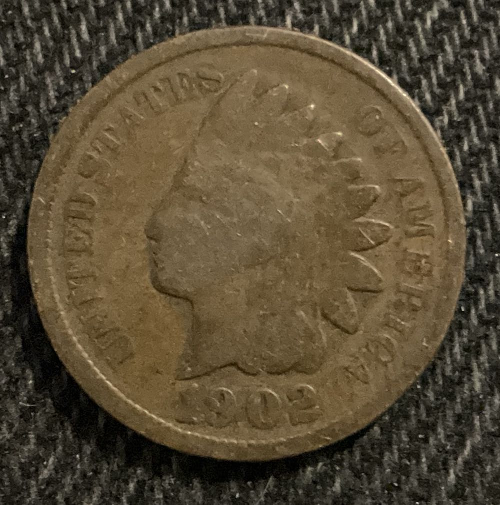 Penny 2017 Lincoln D