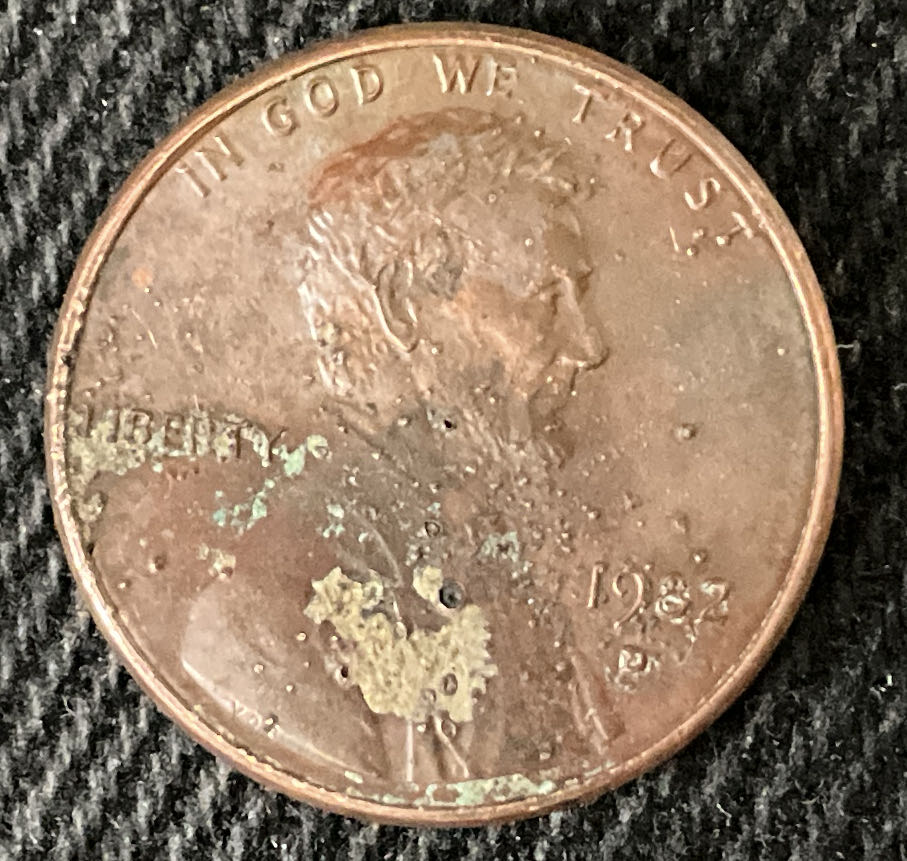 Sacagawea Dollar 2000 D