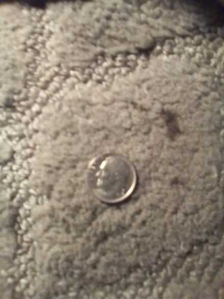 Washington Quarter 2006 P Colorado