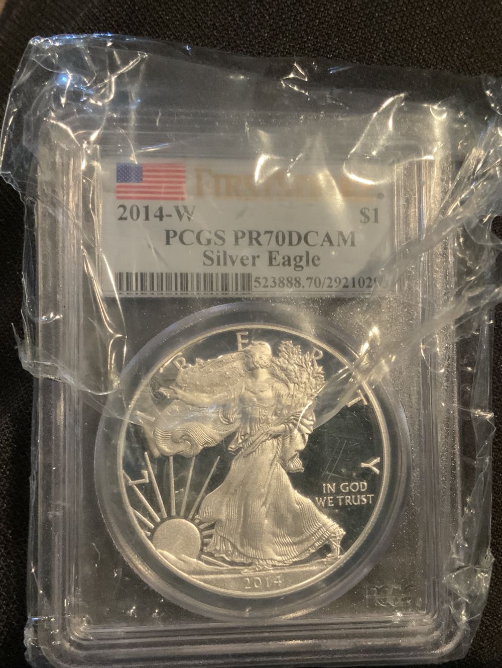 Penny 2018 Lincoln D