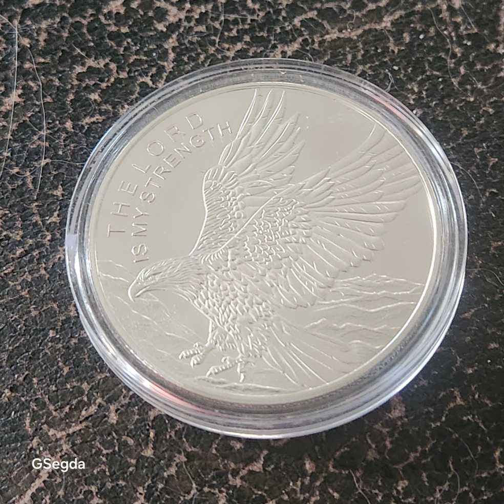 9 Fine Mint 10 Troy Oz Bar