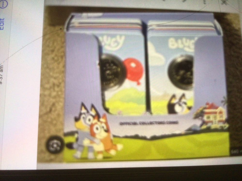 Penny 2019 Lincoln D