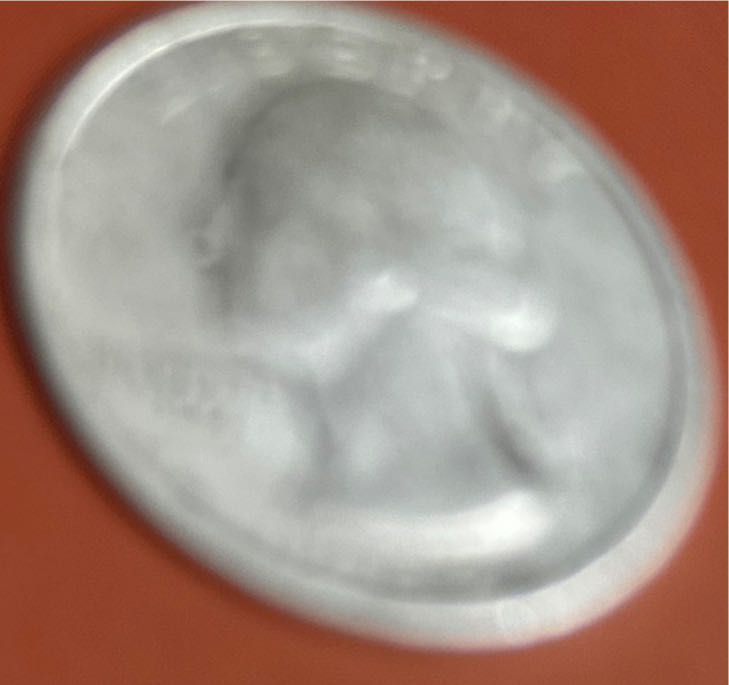 Penny 2017 Lincoln D