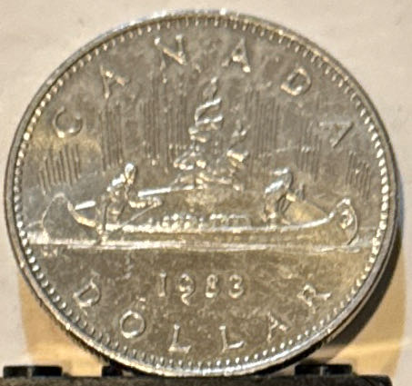 Penny 2018 Lincoln D