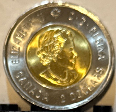 The Poppy Fields  coin collectible - Main Image 2