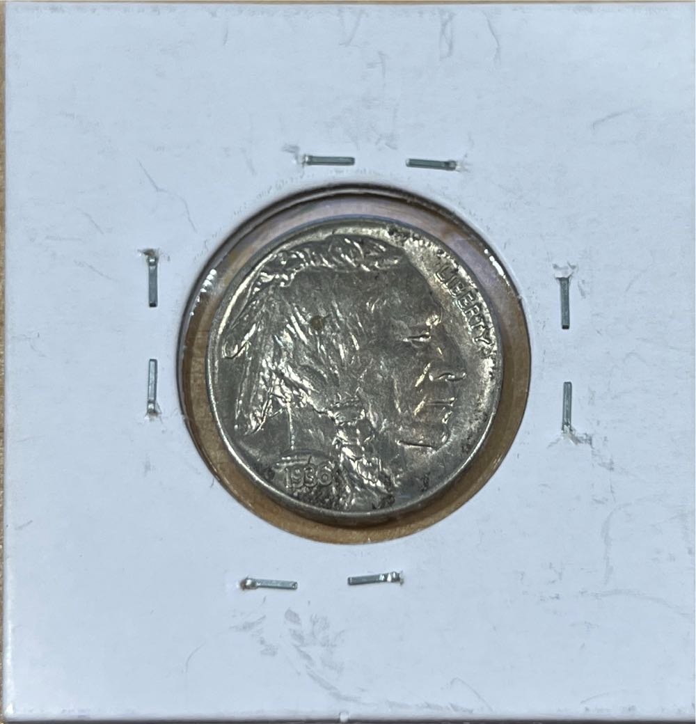 AWQ - Bessie Coleman (D)