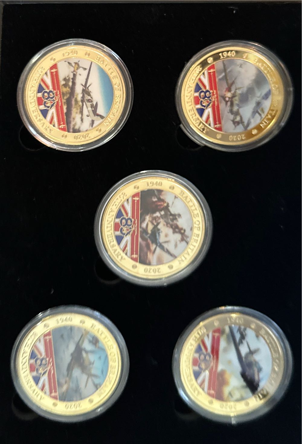 Penny 2019 Lincoln D