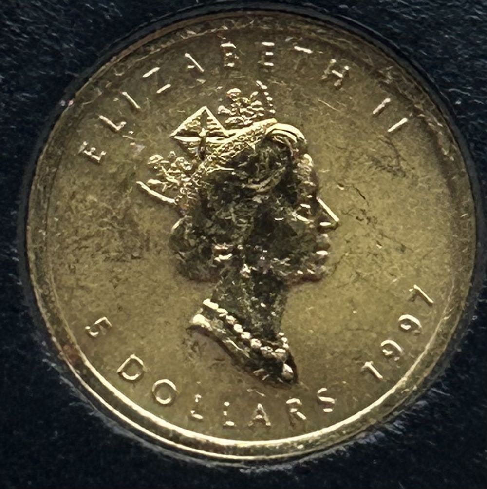 1997 Canadian maple - 1/10th Gold Family Privy  coin collectible - Main Image 2