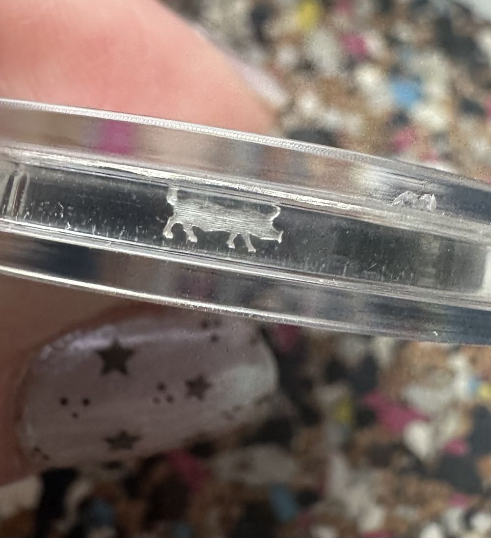 2004 1 oz American Eagle Colourised Earth Privy  coin collectible - Main Image 3