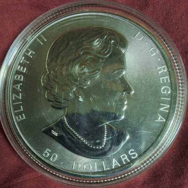 Twin Leaf  coin collectible - Main Image 2