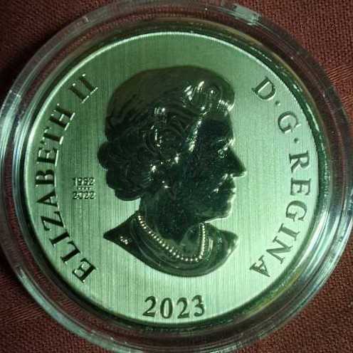 Holiday Sledding Lenticular Coin  coin collectible - Main Image 3