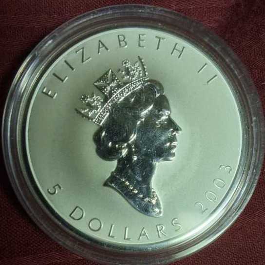 Good Fortune Silver Leaf  coin collectible - Main Image 2