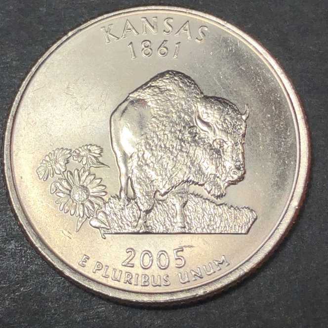 Penny 2005 Lincoln D