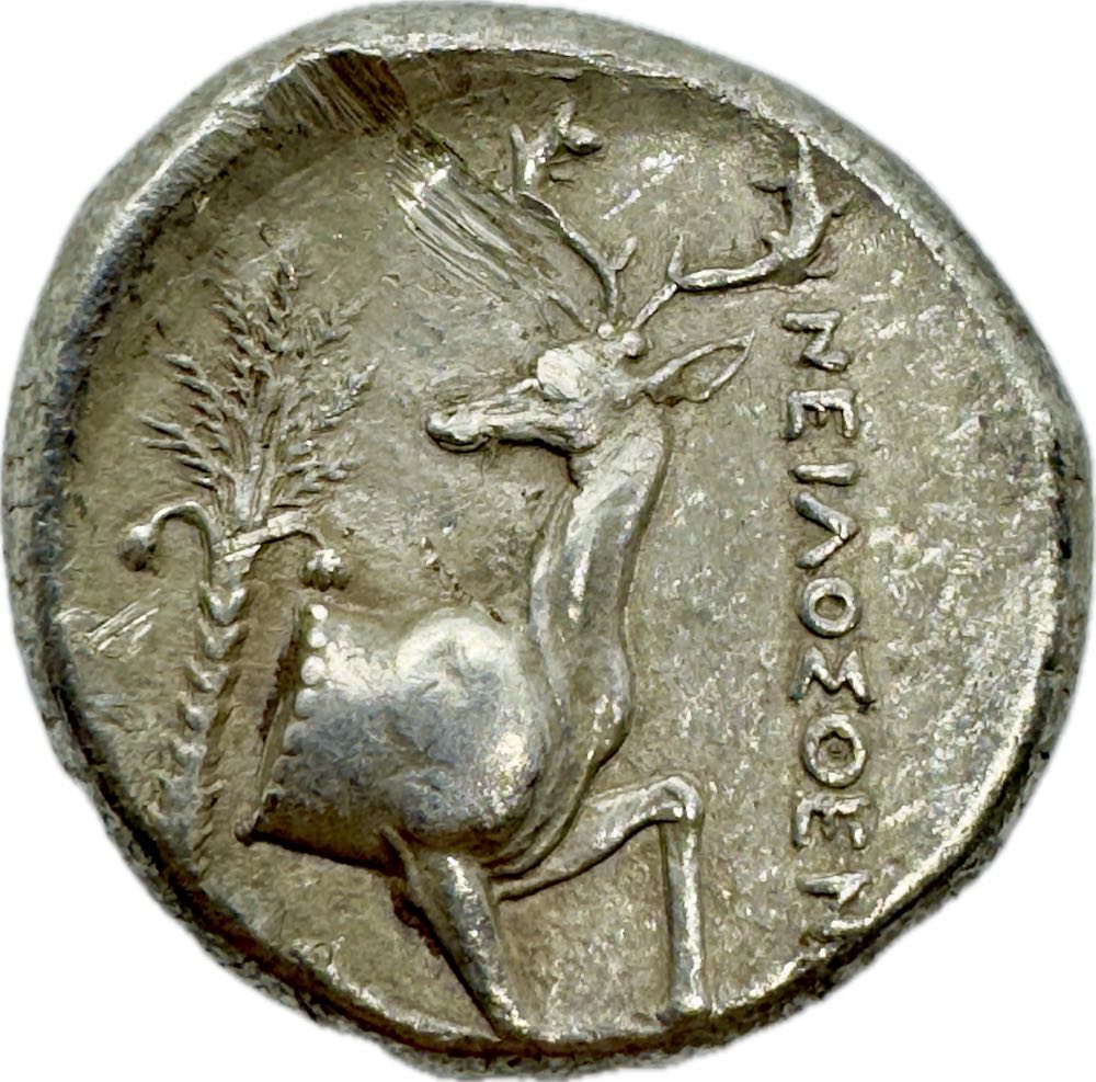 Ionia. Ephesos circa 360-350 BC. Neilosthenes, magistrate Tetradrachm AR  25 mm, 15,24 g  Very Fine  coin collectible - Main Image 2