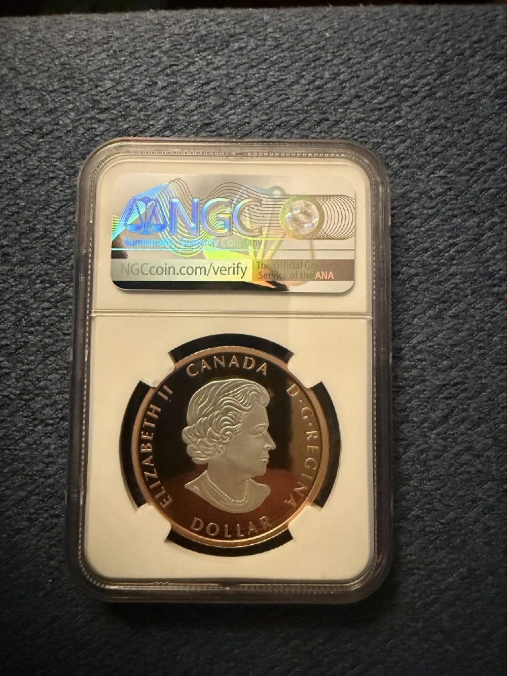 Canada Peace Dollar Rose Gilt 1oz  coin collectible - Main Image 2