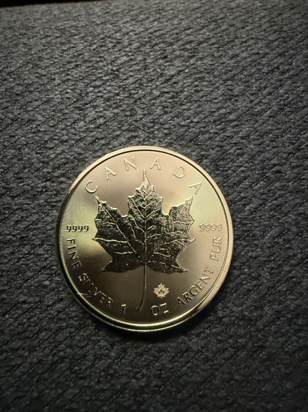 Canada 5 Dollar Silver 2022  coin collectible - Main Image 2