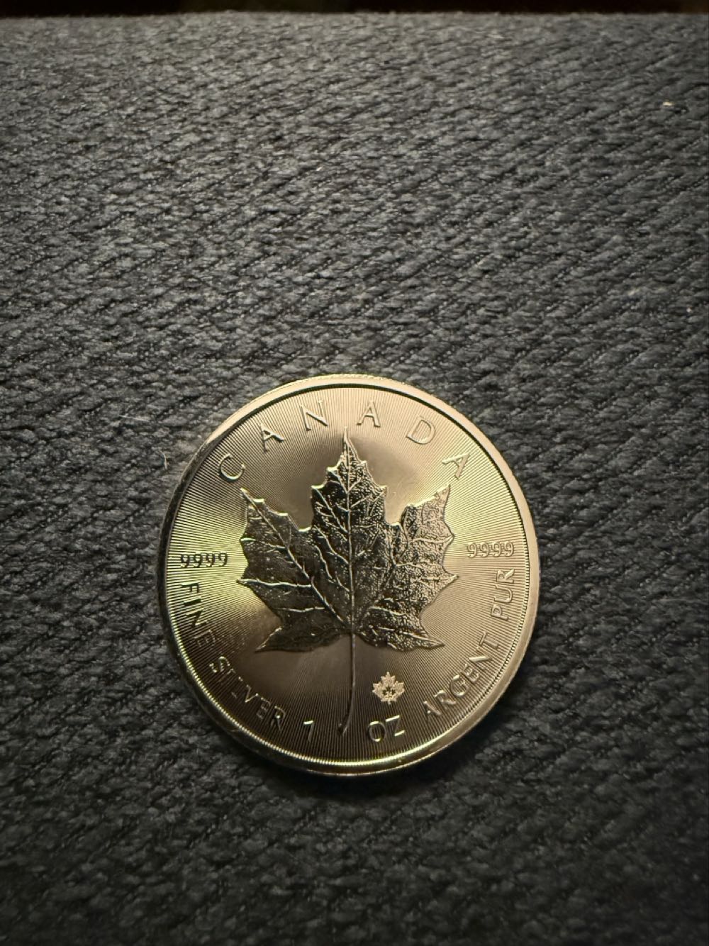 2024 Canada Silver 5 Dollar Maple Leaf  coin collectible - Main Image 2