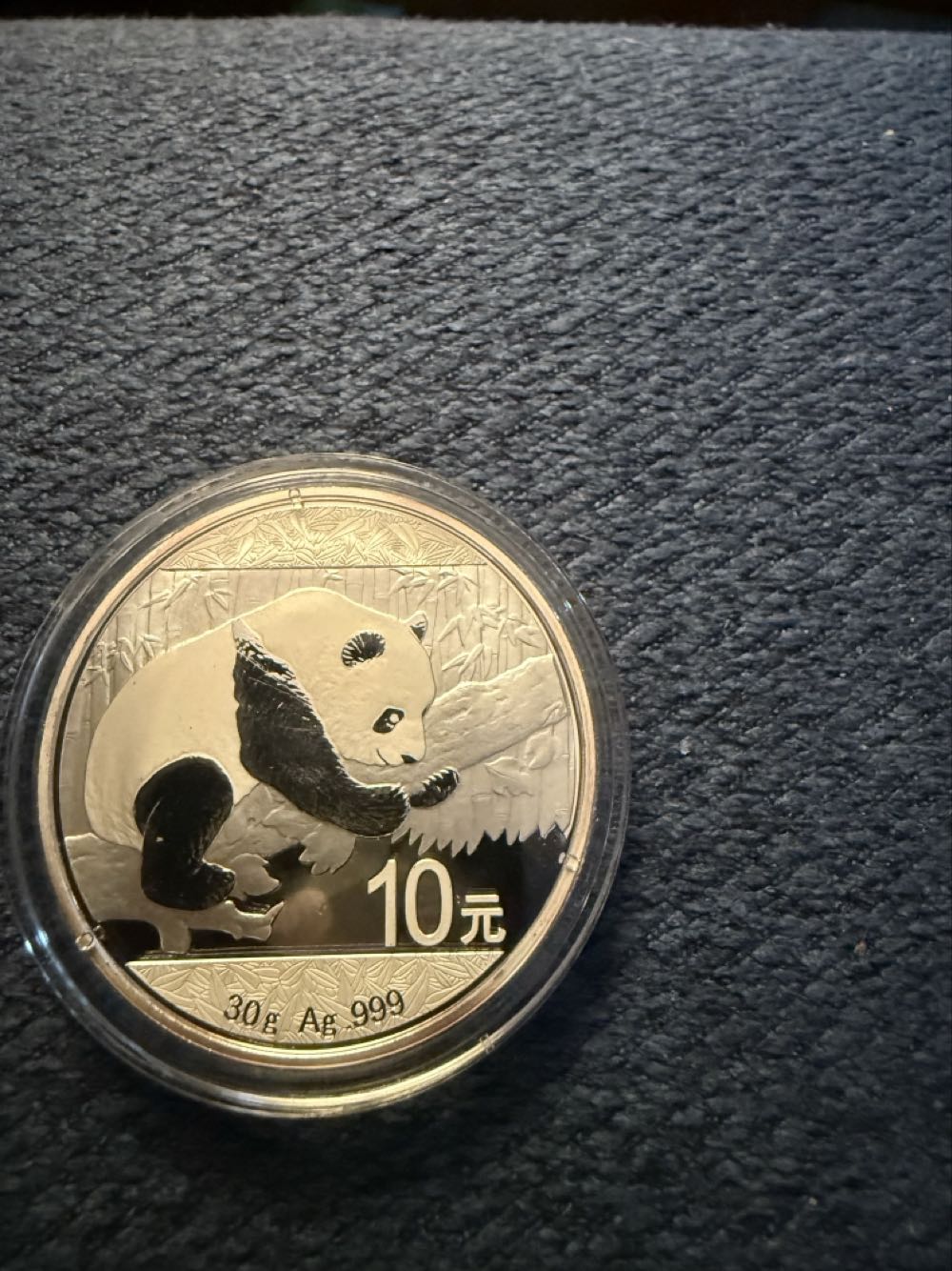 Penny 2017 Lincoln D