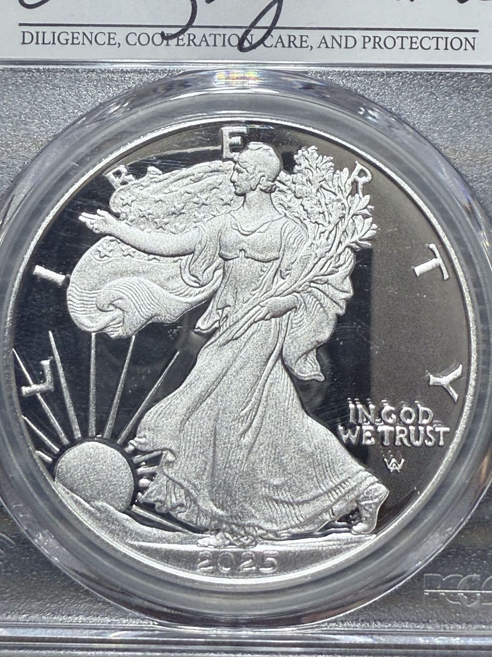 American Silver Eagle  coin collectible - Main Image 3
