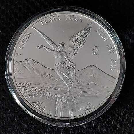 Penny 2012 Lincoln D