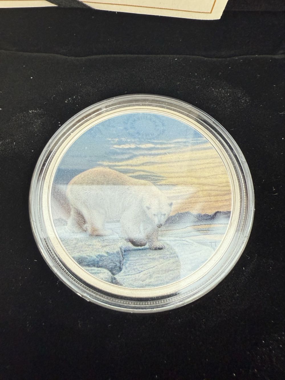 Canada Arctic Animals And Northern Light  Polar Bear Silver $30   coin collectible - Main Image 2