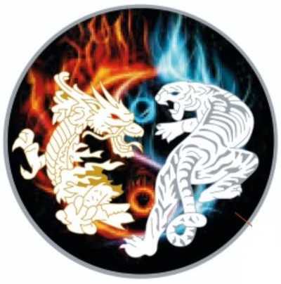 028 2020 Chinese Police Officers  coin collectible - Main Image 2