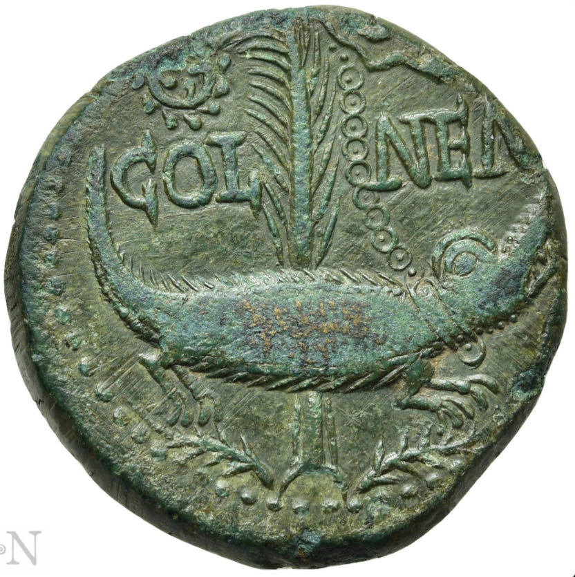 GAUL. Nemausus. Augustus, with Agrippa (27 BC-14 AD). Ae  coin collectible - Main Image 3