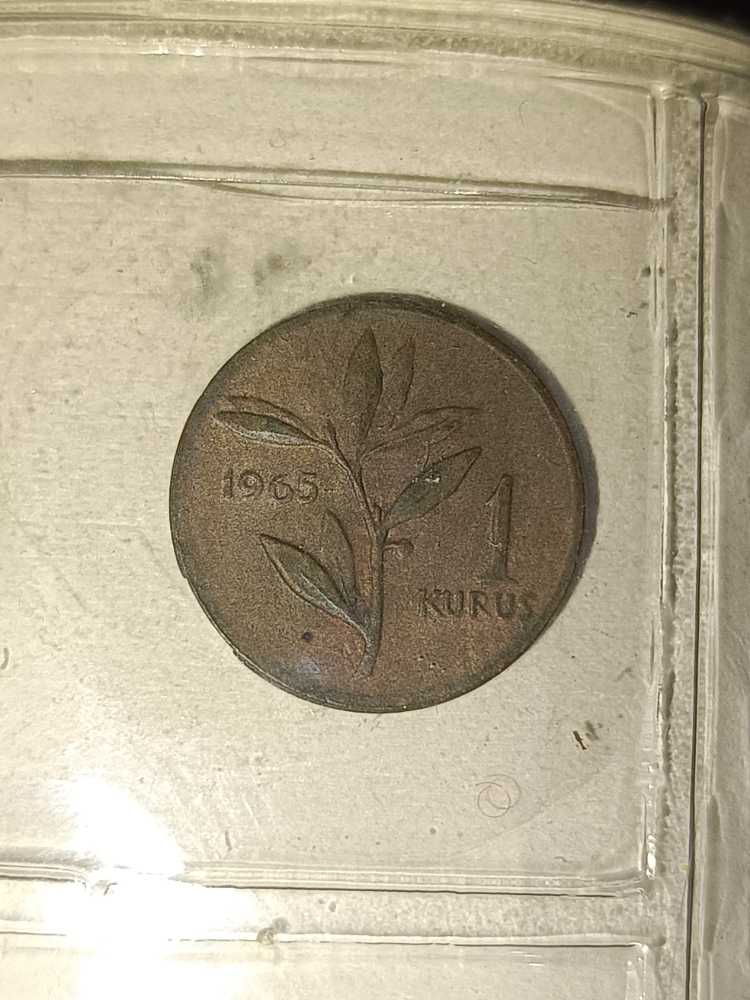 Turkey 1 Kurus  coin collectible - Main Image 2