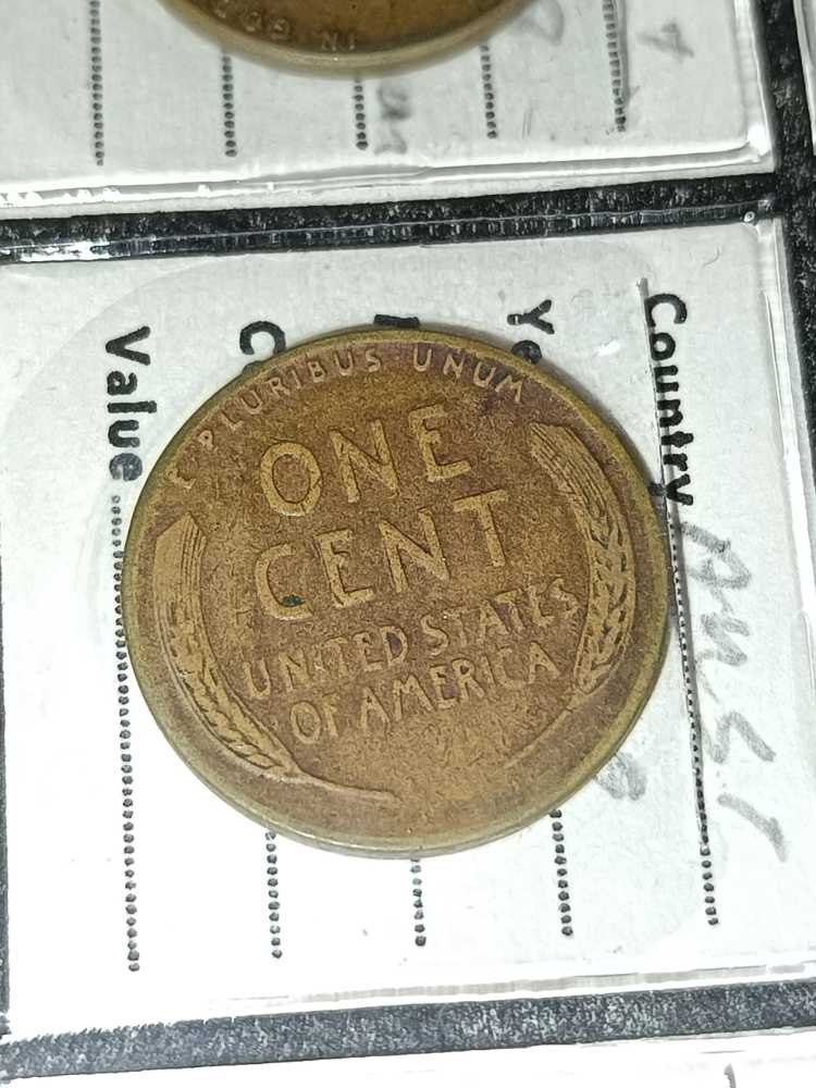 Teenage Mutant Hero Turtles Official Medal Collection