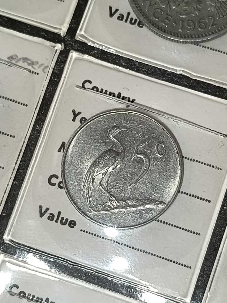 Königliche Hochzeit