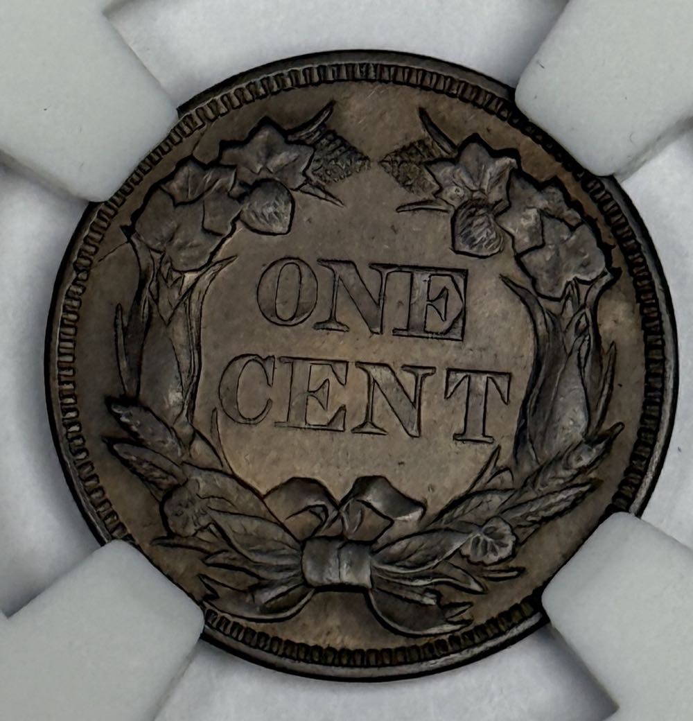 Flying Eagle Cent  coin collectible - Main Image 2