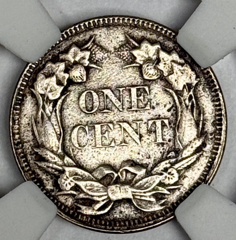 Flying Eagle Cent  coin collectible - Main Image 2