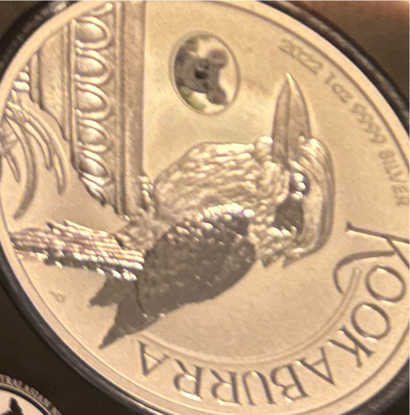 Morgan Silver Dollar 1880 S #69