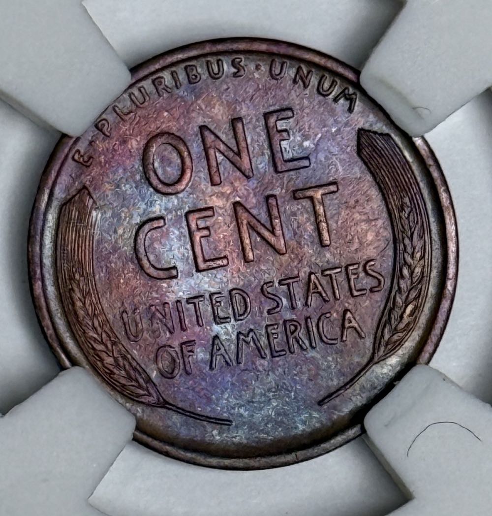 Indian Head Cent  coin collectible - Main Image 2