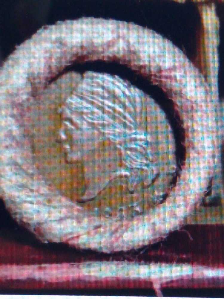 Engelhard American Prospector