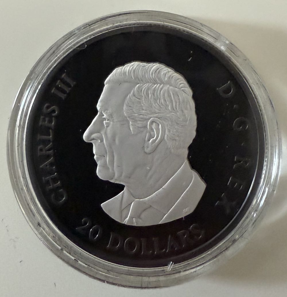 Maple Leaf Rhodium  coin collectible - Main Image 2