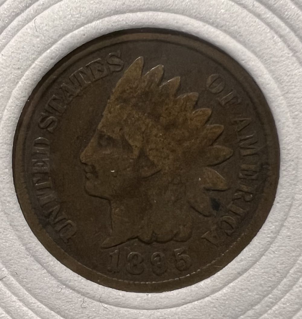 Disney - Mickey Surfboard 2024