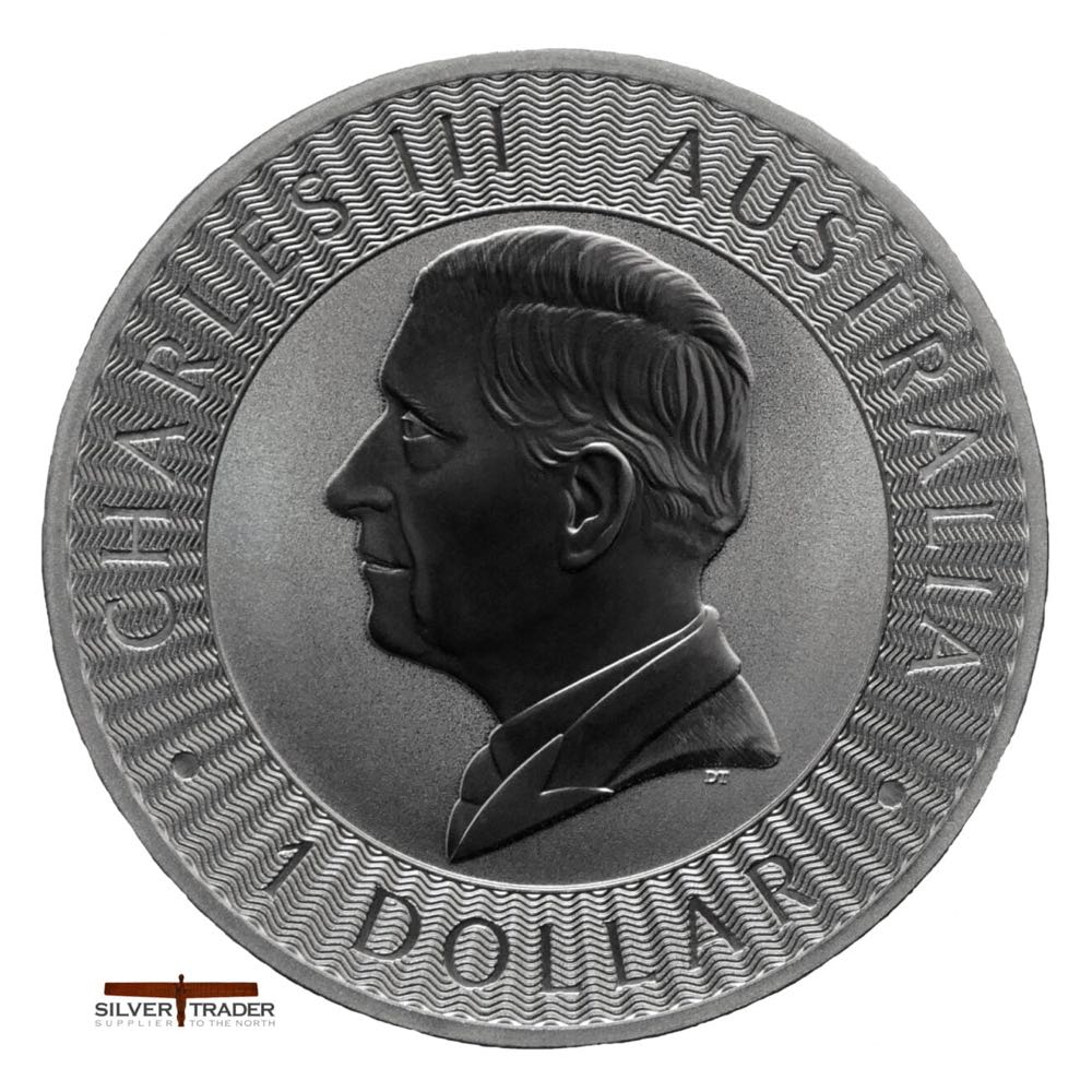 Australian Kangaroo Silver Bullion  coin collectible - Main Image 2