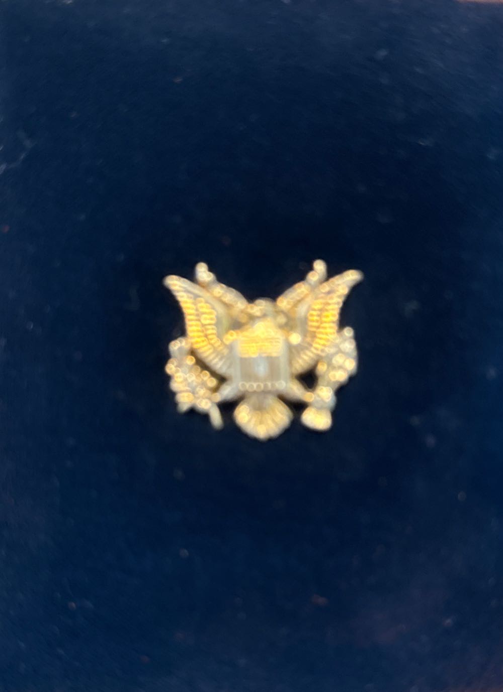 2006 American Eagle 1/10 Ounce Proof Gold Bullion Coin  coin collectible [Barcode 704785052512] - Main Image 2