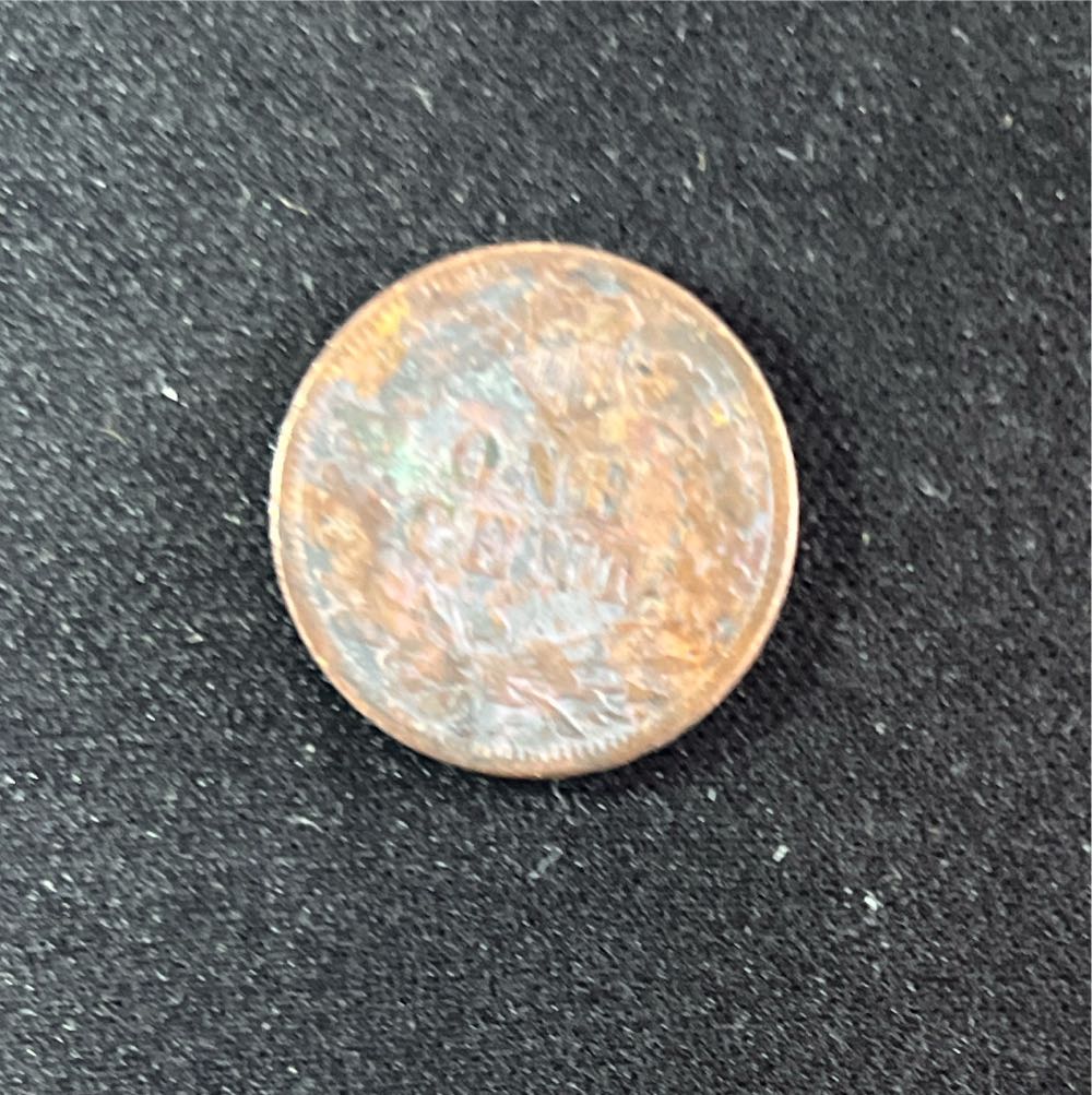 1893 Indian Head Cent  coin collectible - Main Image 2