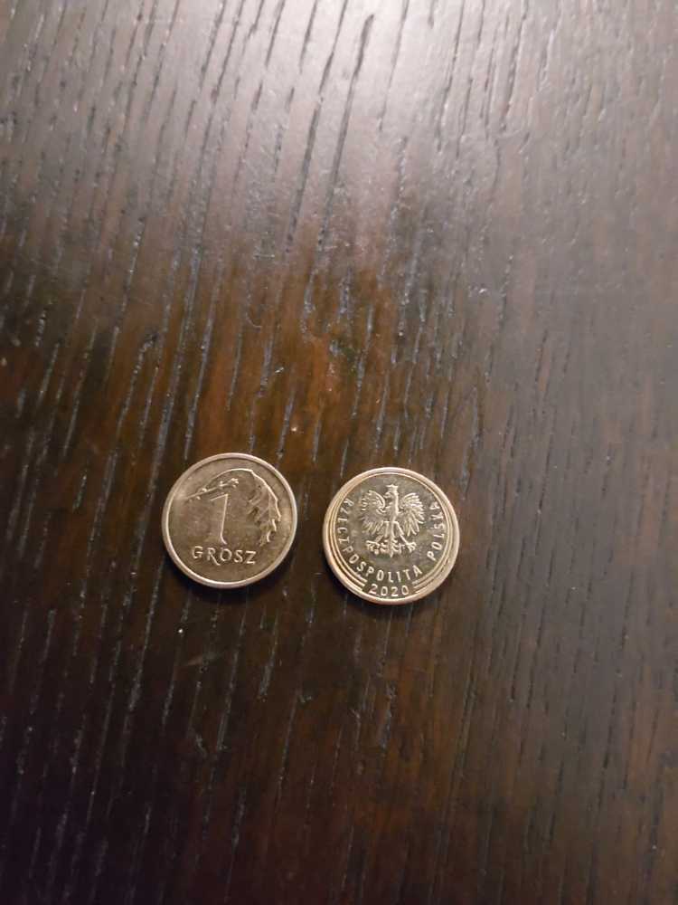 1 Grosz  coin collectible - Main Image 2