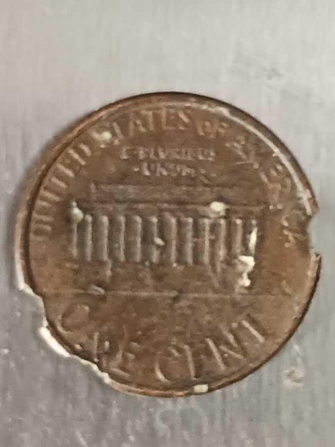 1995D Penny  coin collectible - Main Image 2
